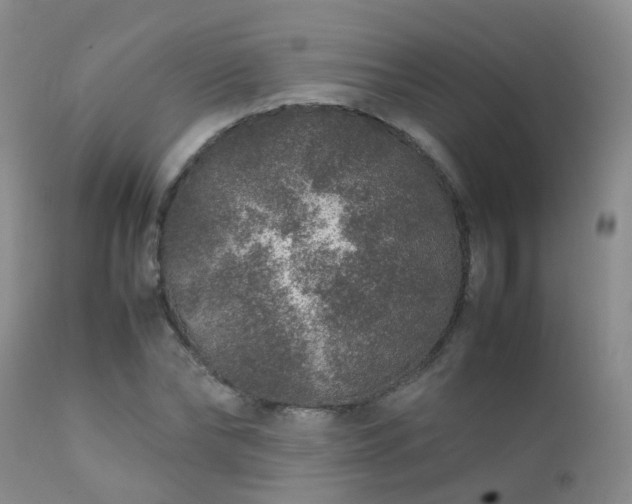 X0000112110878200908111440