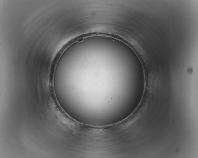 X0000112110880200908111440