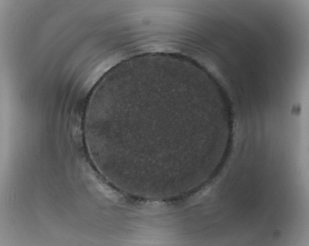 X0000112110881200908111440