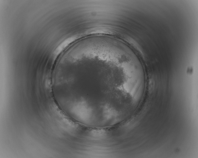 X0000112110882200908111440