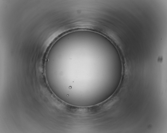 X0000112110883200908111440