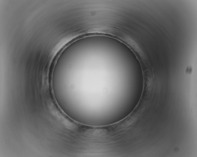 X0000112110884200908111440