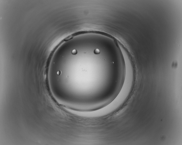 X0000112110885200908111440