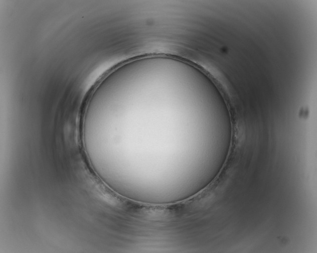 X0000112110886200908111440