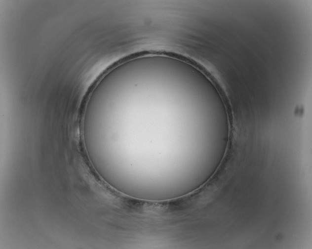 X0000112110887200908111440