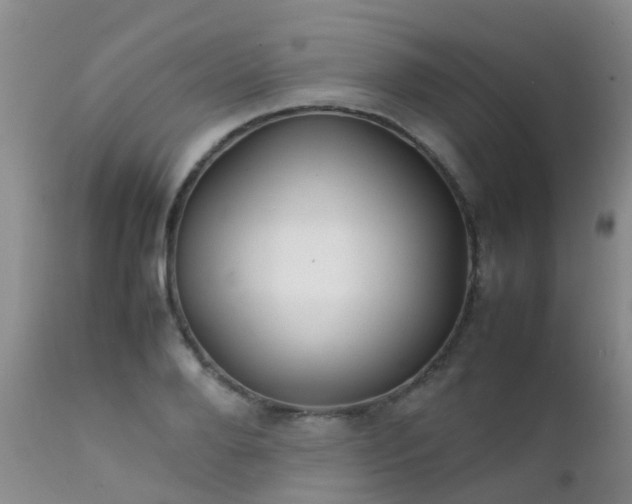 X0000112110888200908111440