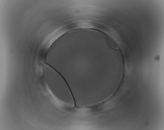 X0000112110889200908111440