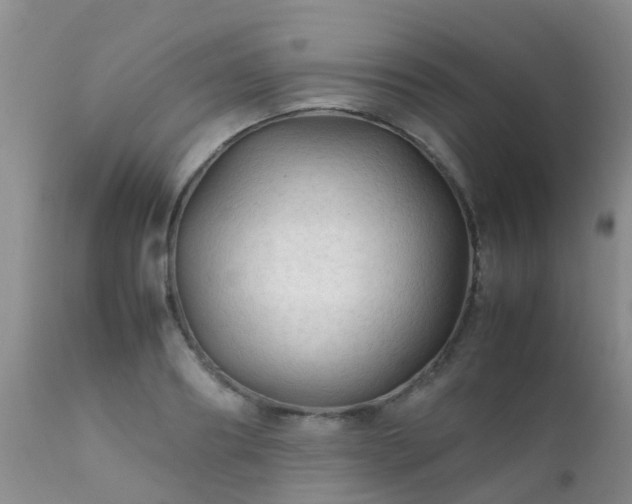 X0000112110890200908111440