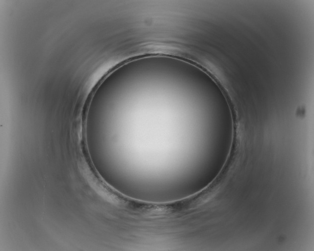 X0000112110891200908111440