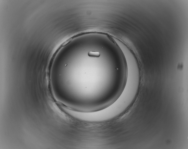 X0000112110892200908111440