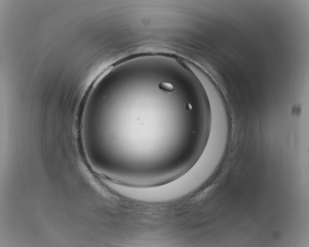 X0000112110893200908111440