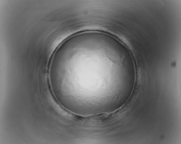 X0000112110895200908111440