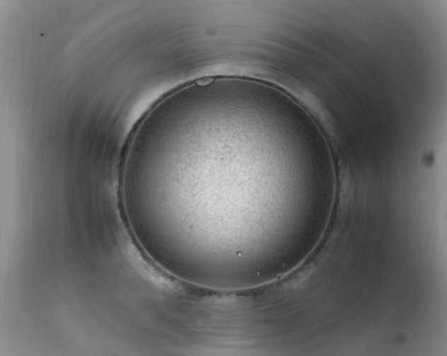 X0000112110896200908111440