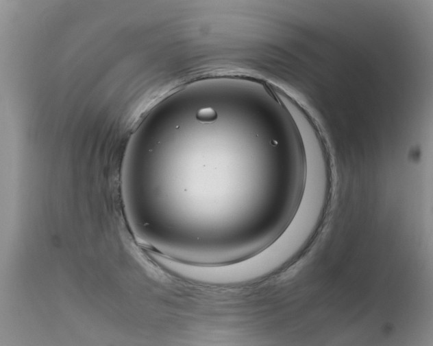 X0000112110897200908111440