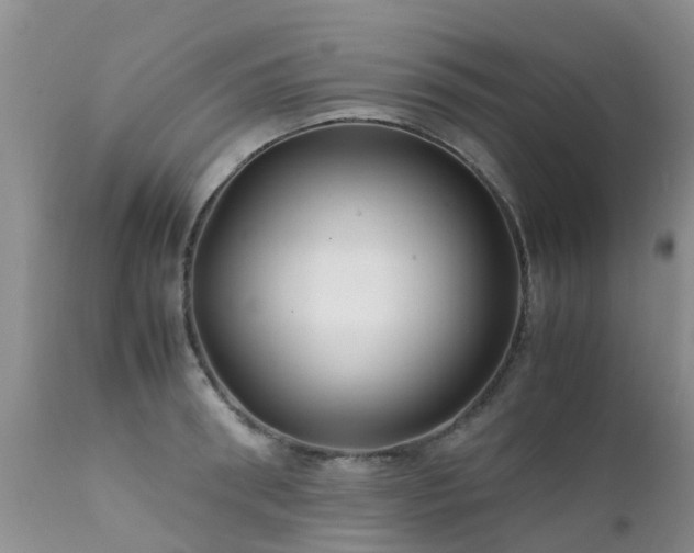 X0000112110898200908111440