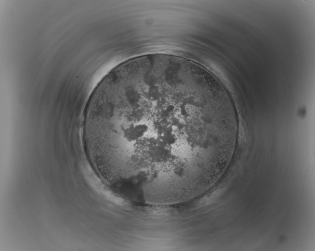 X0000112110899200908111440