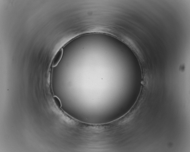 X0000112110900200908111440