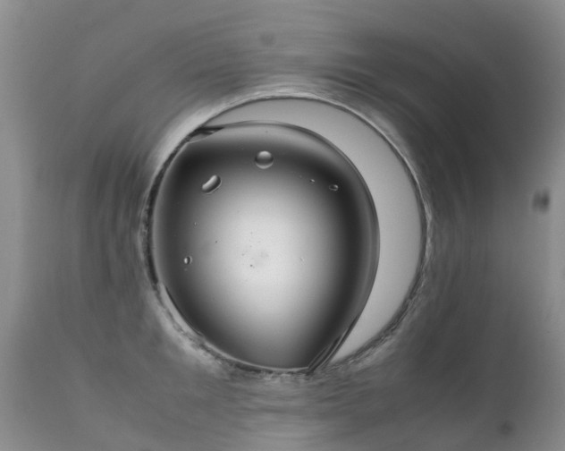 X0000112110901200908111439