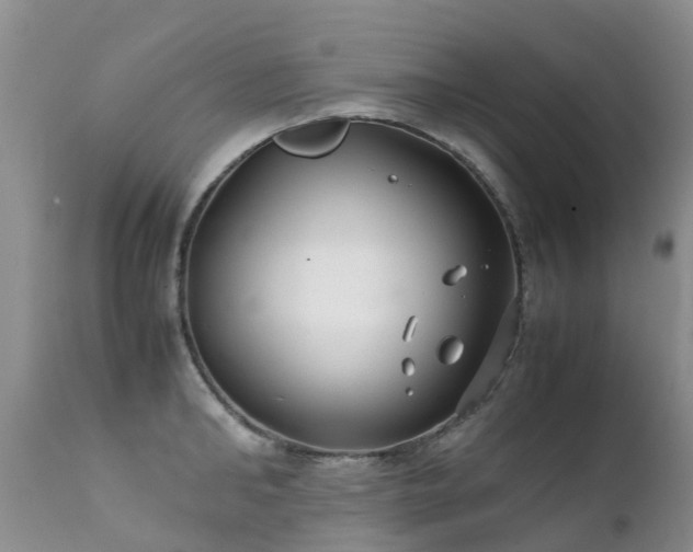 X0000112110902200908111439