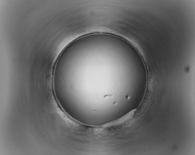 X0000112110903200908111439