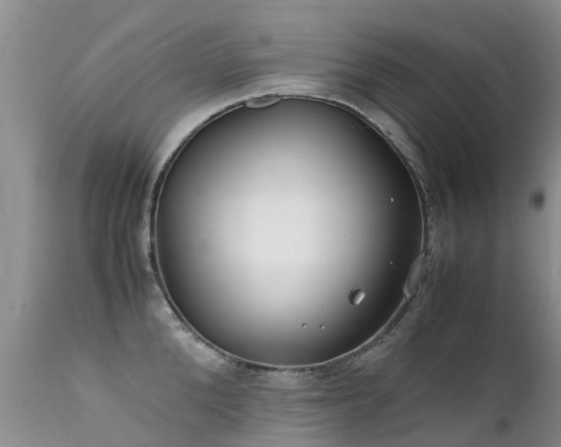 X0000112110904200908111439