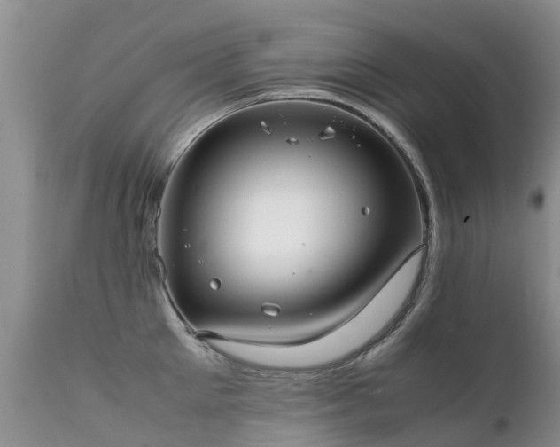 X0000112110905200908111439