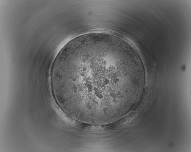 X0000112110907200908111439