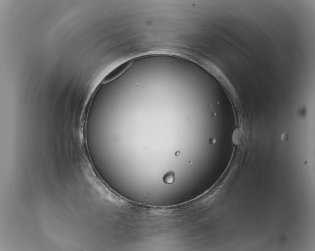 X0000112110908200908111439