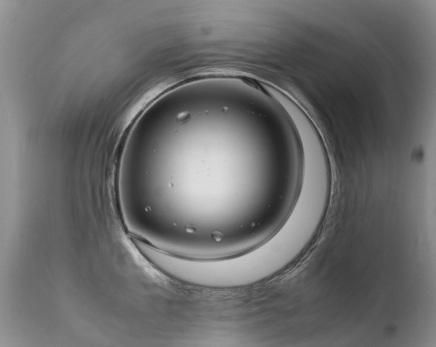 X0000112110909200908111439