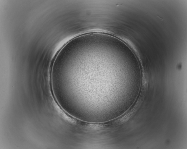 X0000112110910200908111439