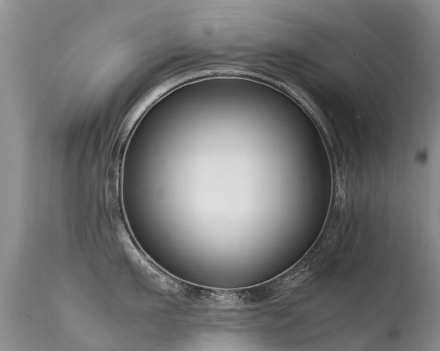 X0000112110911200908111439