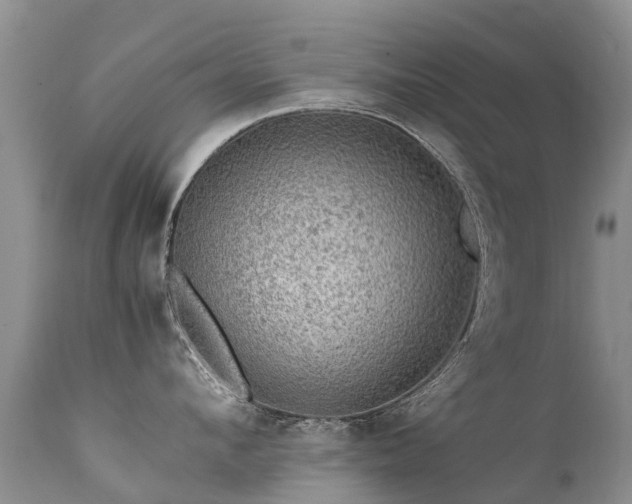 X0000112110912200908111439