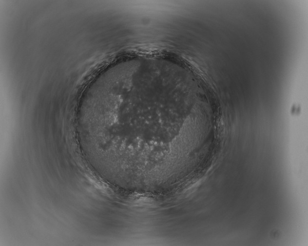 X0000112110913200908111438