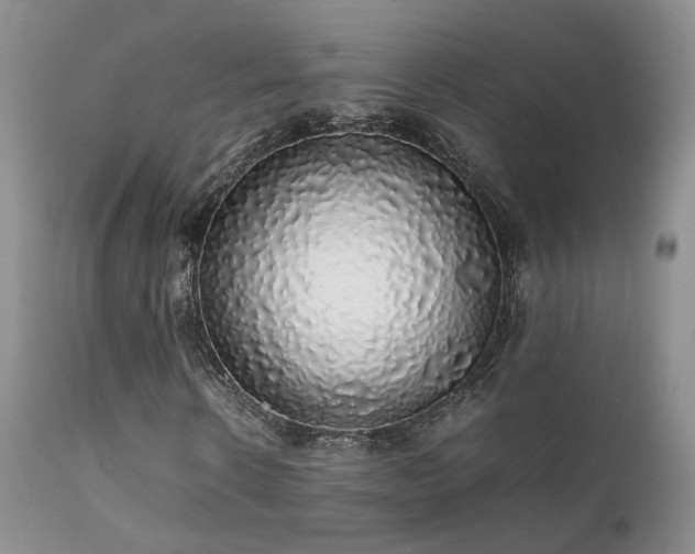 X0000112110914200908111438