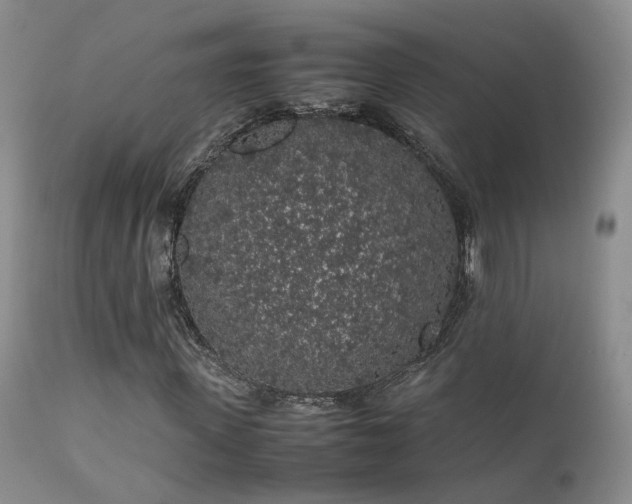 X0000112110915200908111438