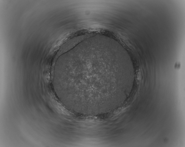 X0000112110916200908111438