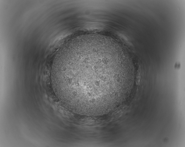 X0000112110917200908111438