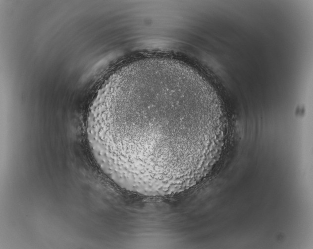 X0000112110918200908111438