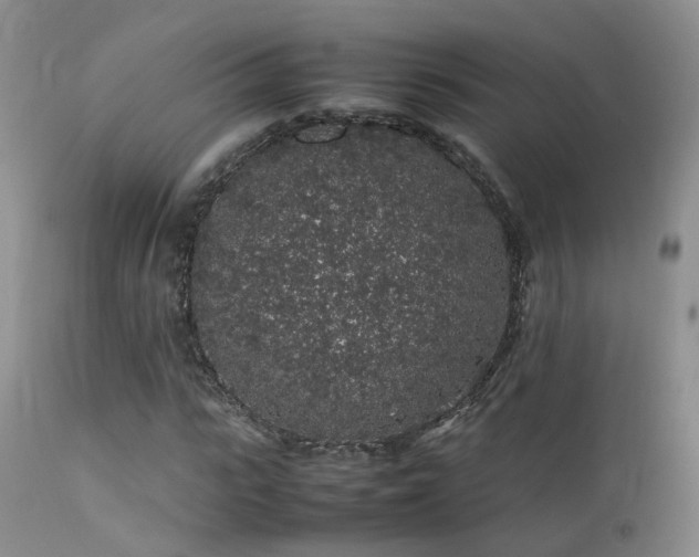 X0000112110919200908111438