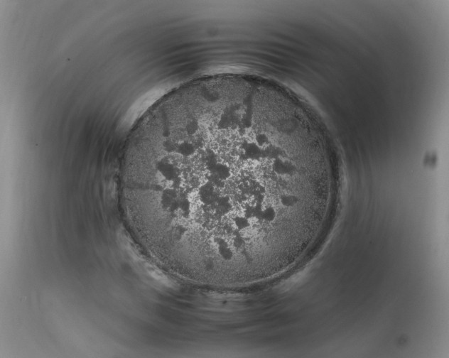 X0000112110921200908111438