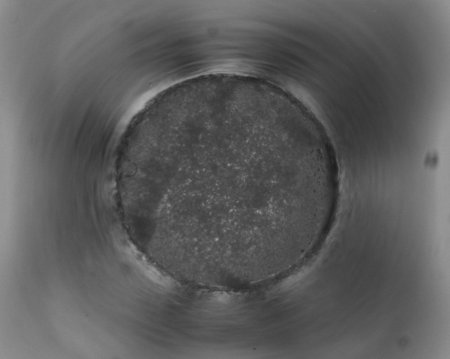 X0000112110923200908111439