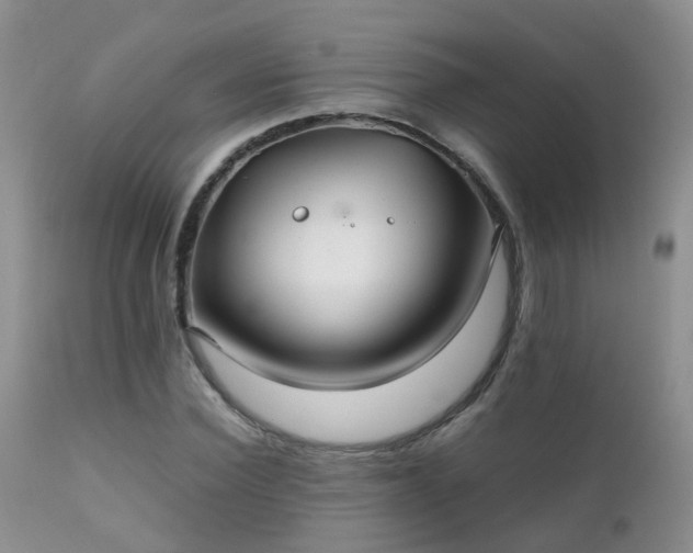 X0000112110924200908111439