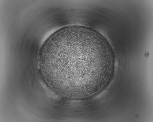 X0000112110925200908111439