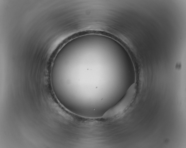 X0000112110926200908111439