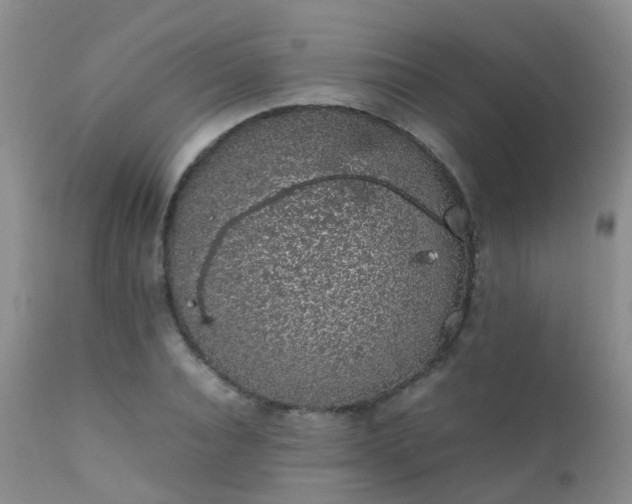 X0000112110928200908111439