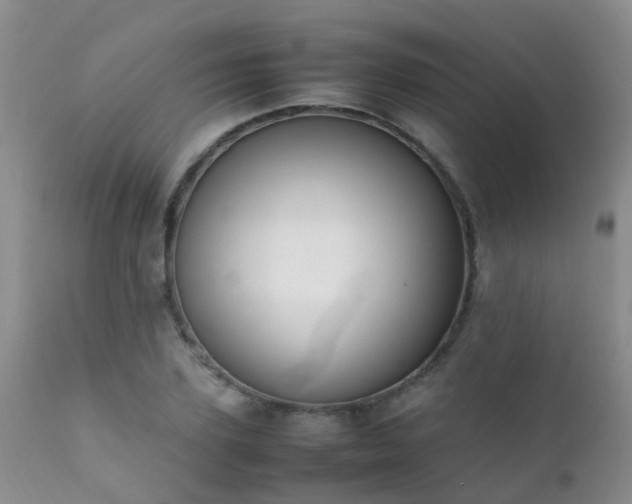 X0000112110931200908111439