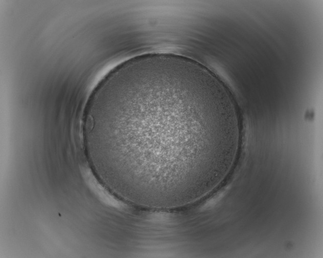 X0000112110932200908111439