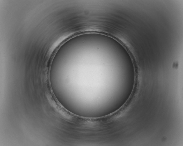 X0000112110933200908111439