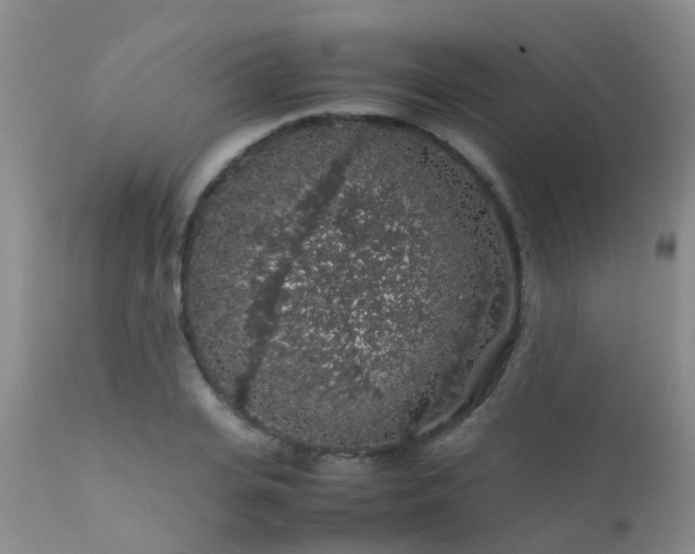 X0000112110935200908111439