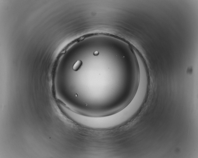 X0000112110936200908111439